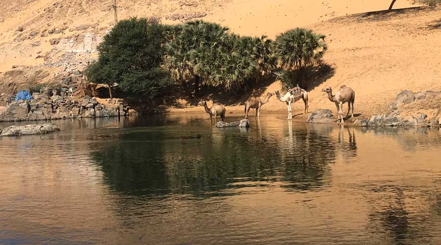 10 Tage Luxor, Assuan und Abu Simbel